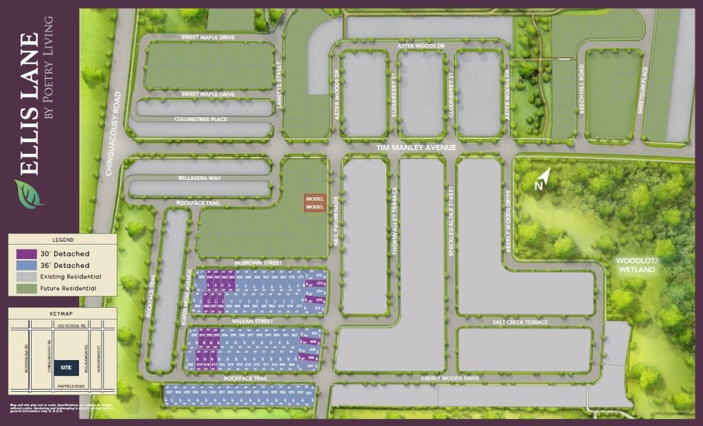 Site Plan - Ellis Lane